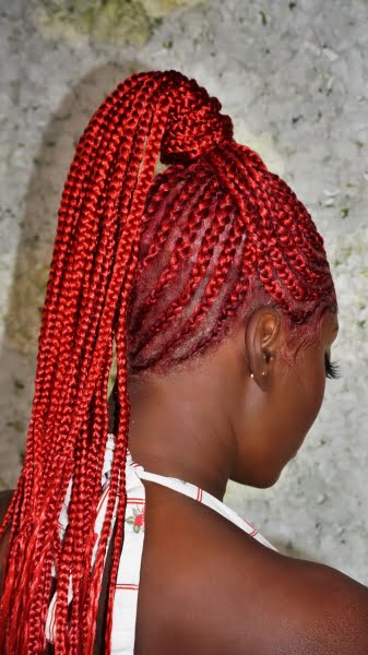 Full Lace Braided Unit